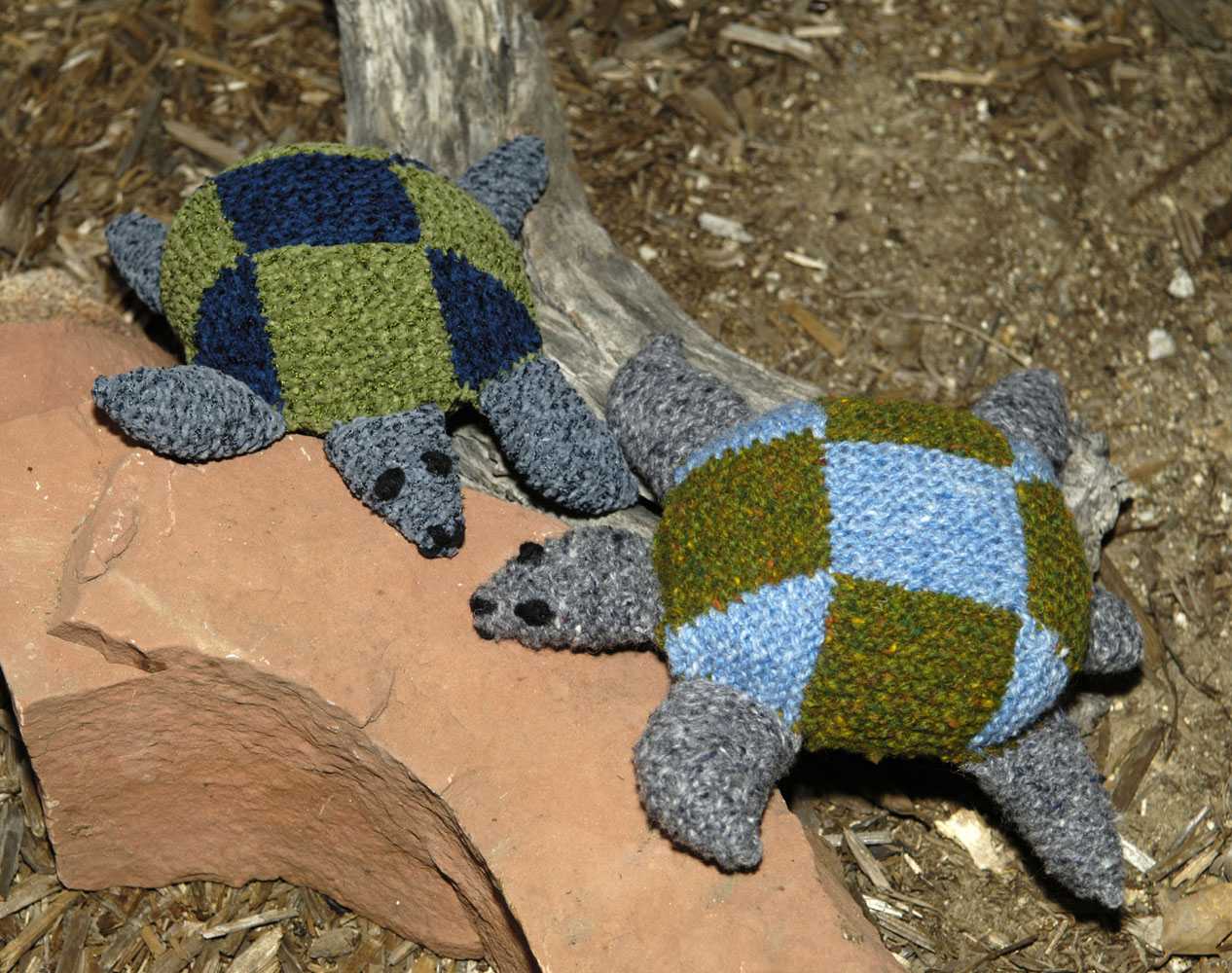 Judy's Turtles